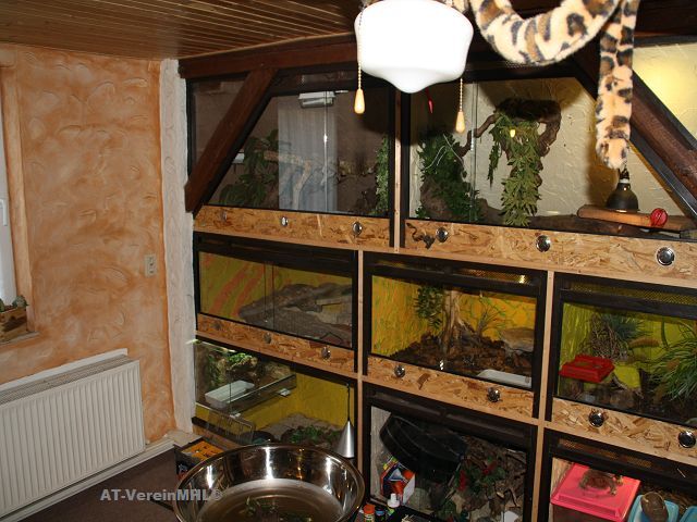 Terrarienanlage